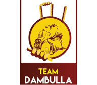 Team logo
