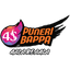 Puneri Bappa Flag
